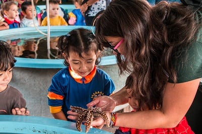 Párvulos conocen diferentes especies en la muestra “Conociendo el mundo marino”