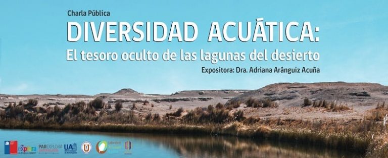 Sigue el Ciclo de Charlas Públicas en Biblioteca Regional de Antofagasta