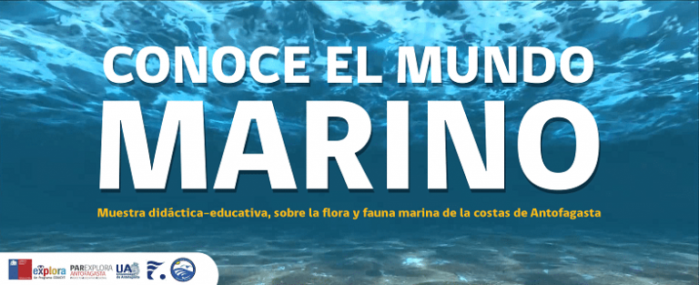 Muestra “Conociendo el mundo marino” recibe a escolares en el mes del mar