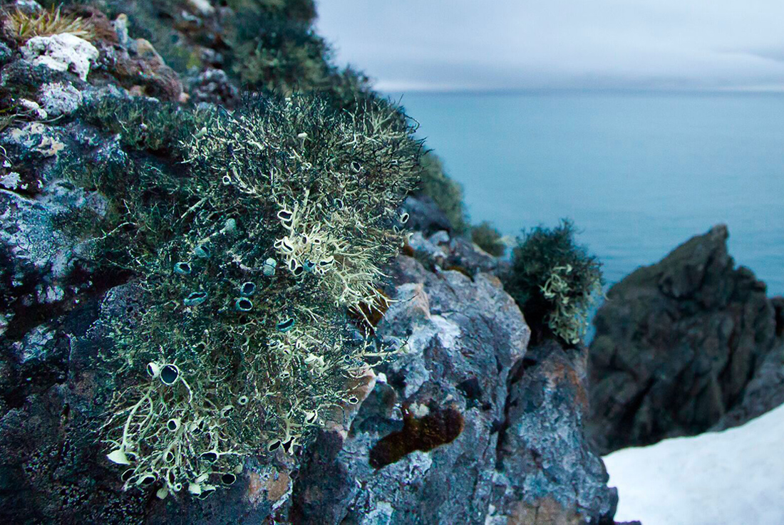 El último día de los dinosaurios