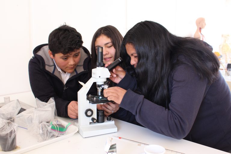 Limpiar el agua del oasis