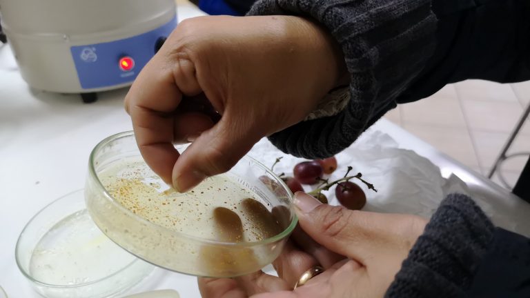 Parten inscripciones para participar en iniciativa que apoya la generación de proyectos científicos