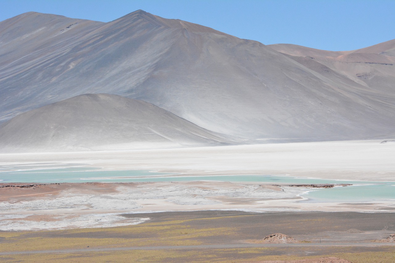 Las curiosas semejanzas y diferencias de los microorganismos que habitan en la Antártica y en el desierto de Atacama