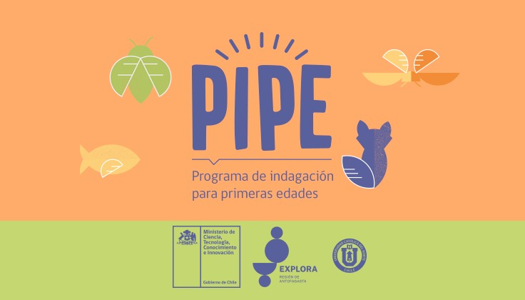 Programa que capacitó a educadoras de párvulos en ciencias finalizó con lanzamiento de plataforma a nivel nacional