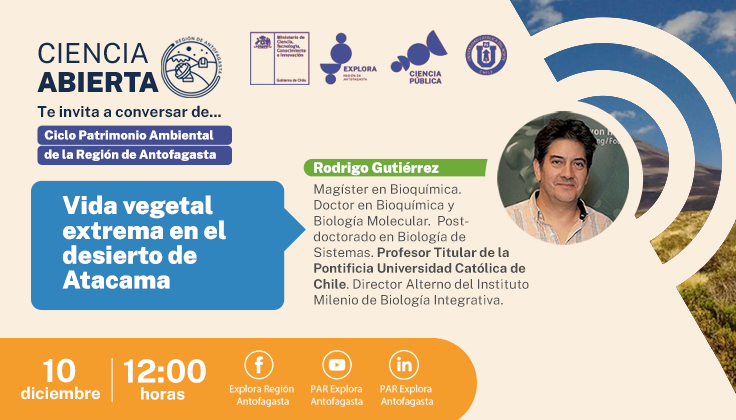 Ciencia Abierta invita a conocer y preservar la vegetación del desierto de Atacama