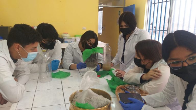 Educadores comienzan a aplicar herramientas adquiridas durante Campamento de Ciencias de Explora Antofagasta