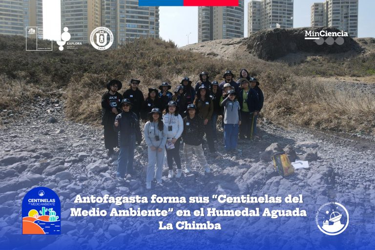 Antofagasta forma sus “Centinelas del Medio Ambiente” en el Humedal Aguada La Chimba: estudiantes lideran el cuidado del territorio
