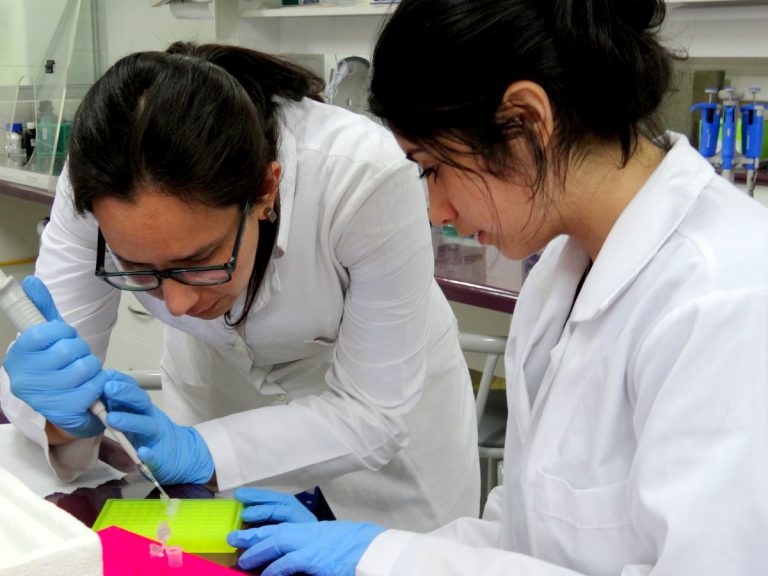 Escolares conocen de cerca el trabajo científico que realiza la UFRO