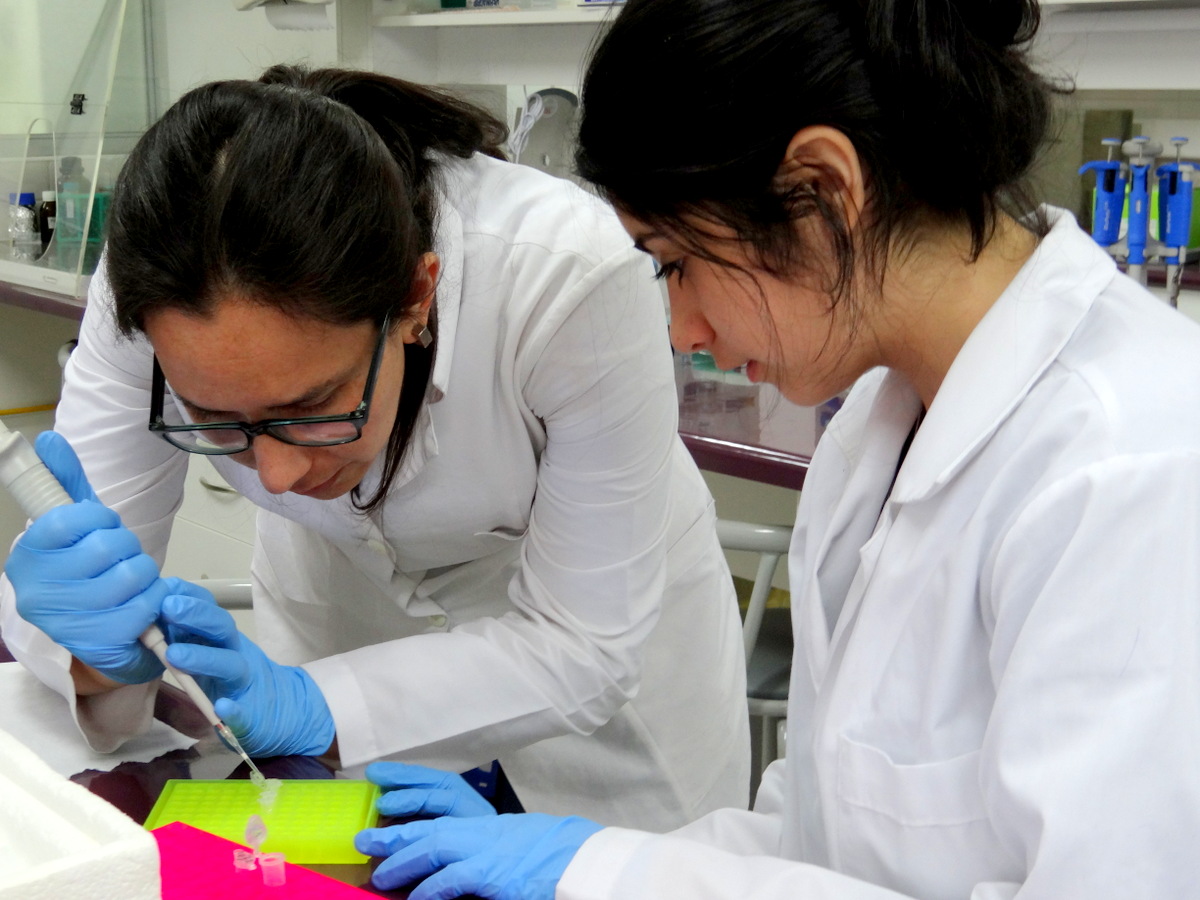 Escolares conocen de cerca el trabajo científico que realiza la UFRO