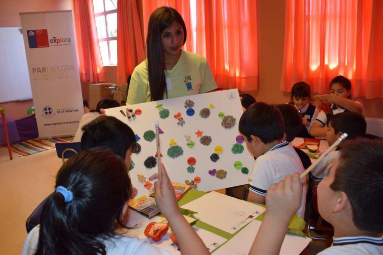 Escolares de la región aprenden sobre los tipos de semillas y germinación