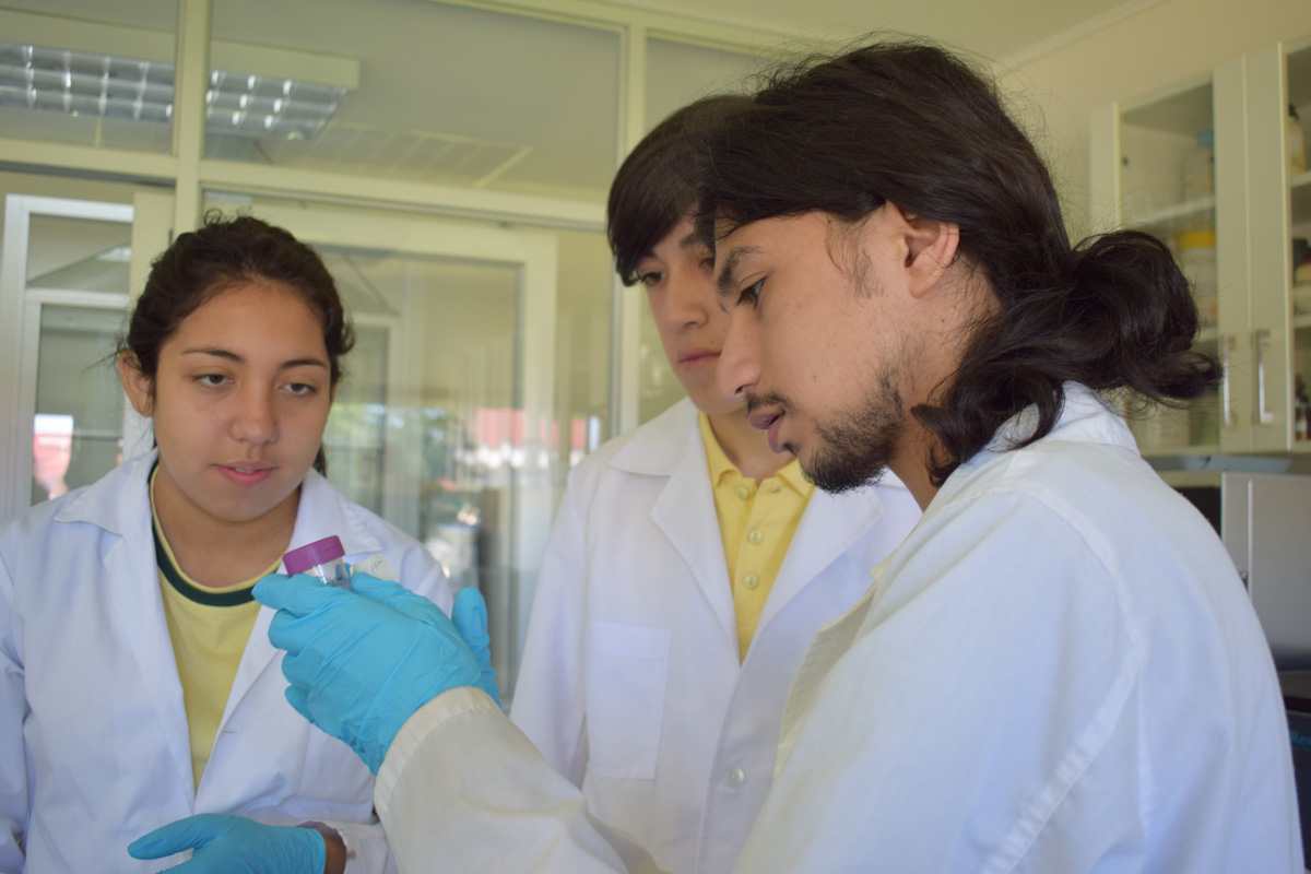 Escolares de La Araucanía se convierten en científicos (as) por un día