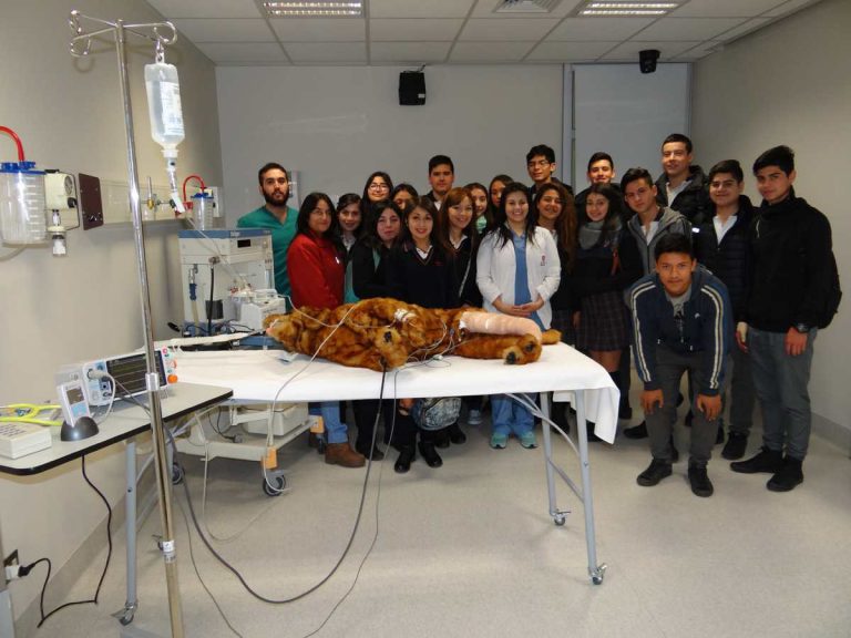 Estudiantes conocen sobre emergencias veterinarias con simuladores
