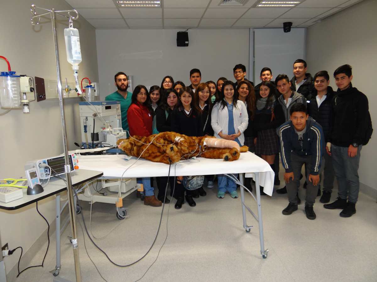 Estudiantes conocen sobre emergencias veterinarias con simuladores