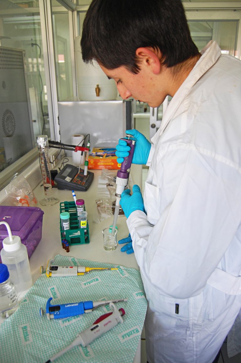 Estudiantes de Angol se transforman en científicos gracias a pasantía de investigación
