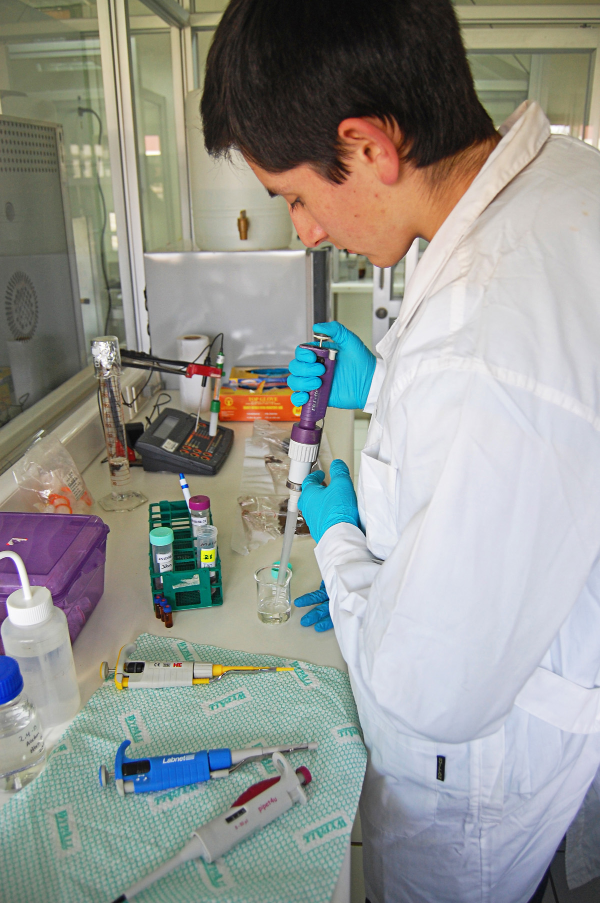 Estudiantes de Angol se transforman en científicos gracias a pasantía de investigación