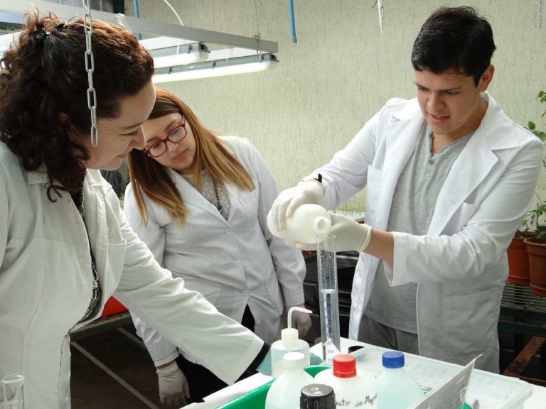 Jóvenes estudiantes de Temuco realizan Pasantía de Investigación en la UFRO