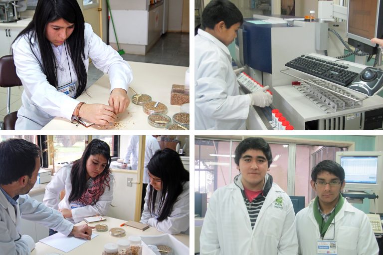 Estudiantes de cuatro colegios descubrieron la labor científica en INIA Carillanca, a través de interactivas pasantías