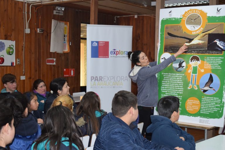 Niños y niñas participan de taller sobre aves migratorias en La Araucanía