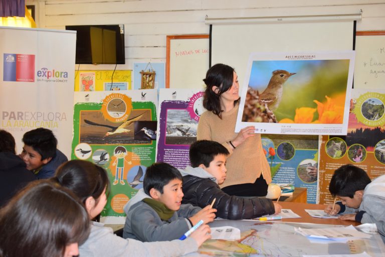 Niños y niñas de La Araucanía descubren el mundo de las aves migratorias