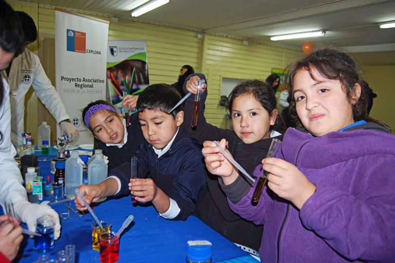 Actividad Ciencia en Acción comienza su itinerancia 2015 en Escuela San Francisco de Cunco Chico