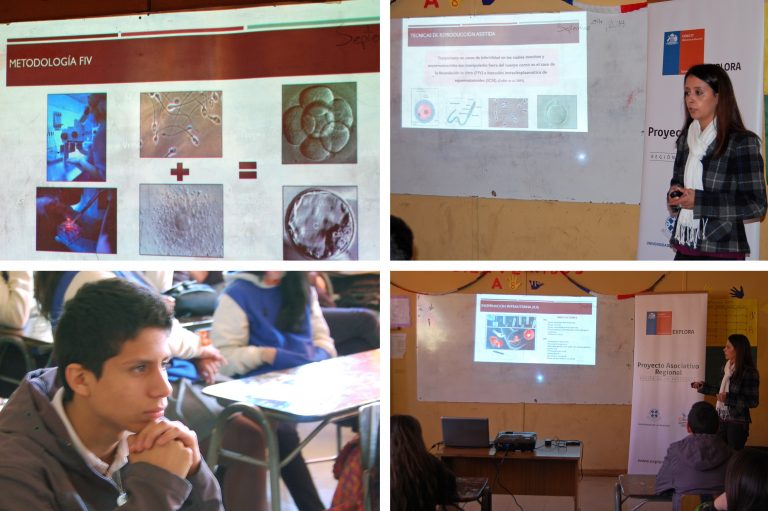 Aspectos de la reproducción humana conocieron escolares del Colegio Mundo Mágico