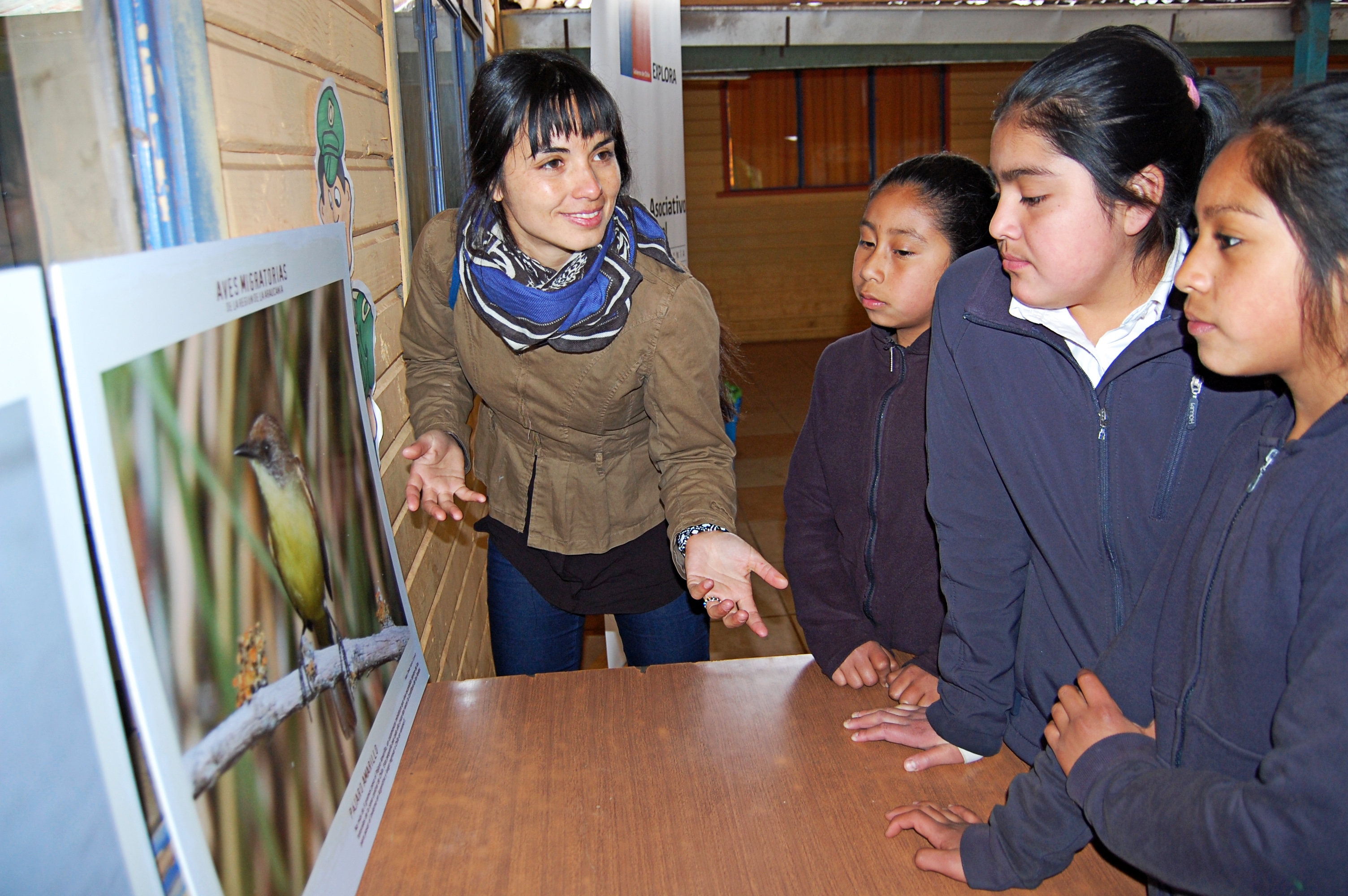 Niños y niñas de la Escuela Santa Teresa conocen el mundo de las aves migratorias en taller