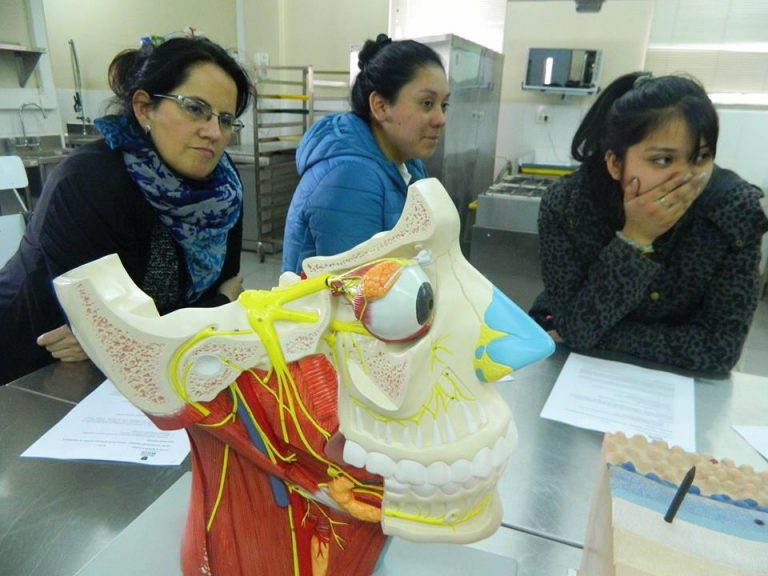 En la Universidad Mayor se realizó entretenido taller sobre evaluación sensorial de alimentos
