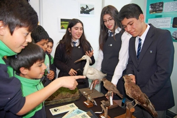 ¡Ya está abierta la convocatoria para participar en el XIV Congreso Regional Escolar!