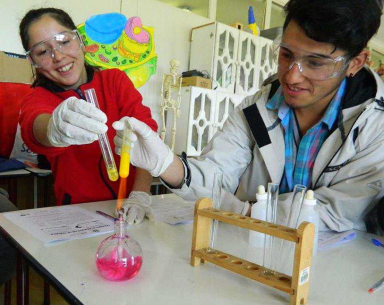 Taller "Los colores al rescate de la Química" cautivó a jóvenes de La Araucanía