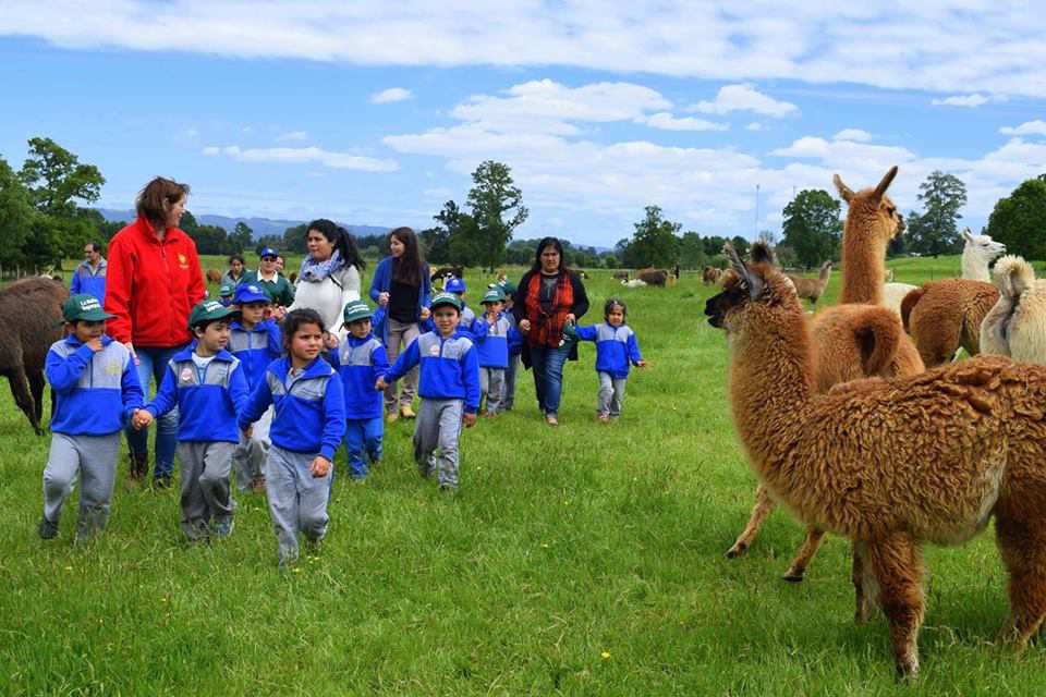 Ganadores del Concurso  Escolar “La Naturaleza Superpoderosa” disfrutaron de  entretenidas Visitas Educativas