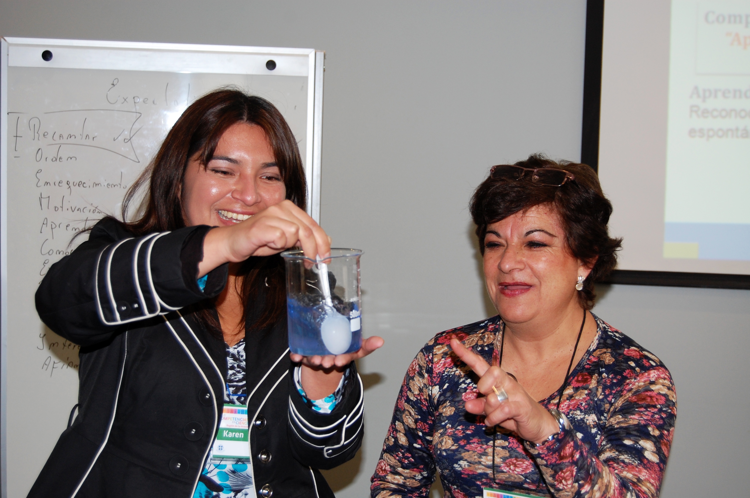 Pronto comenzarán postulaciones a Tus Competencias en Ciencias en La Araucanía 2015