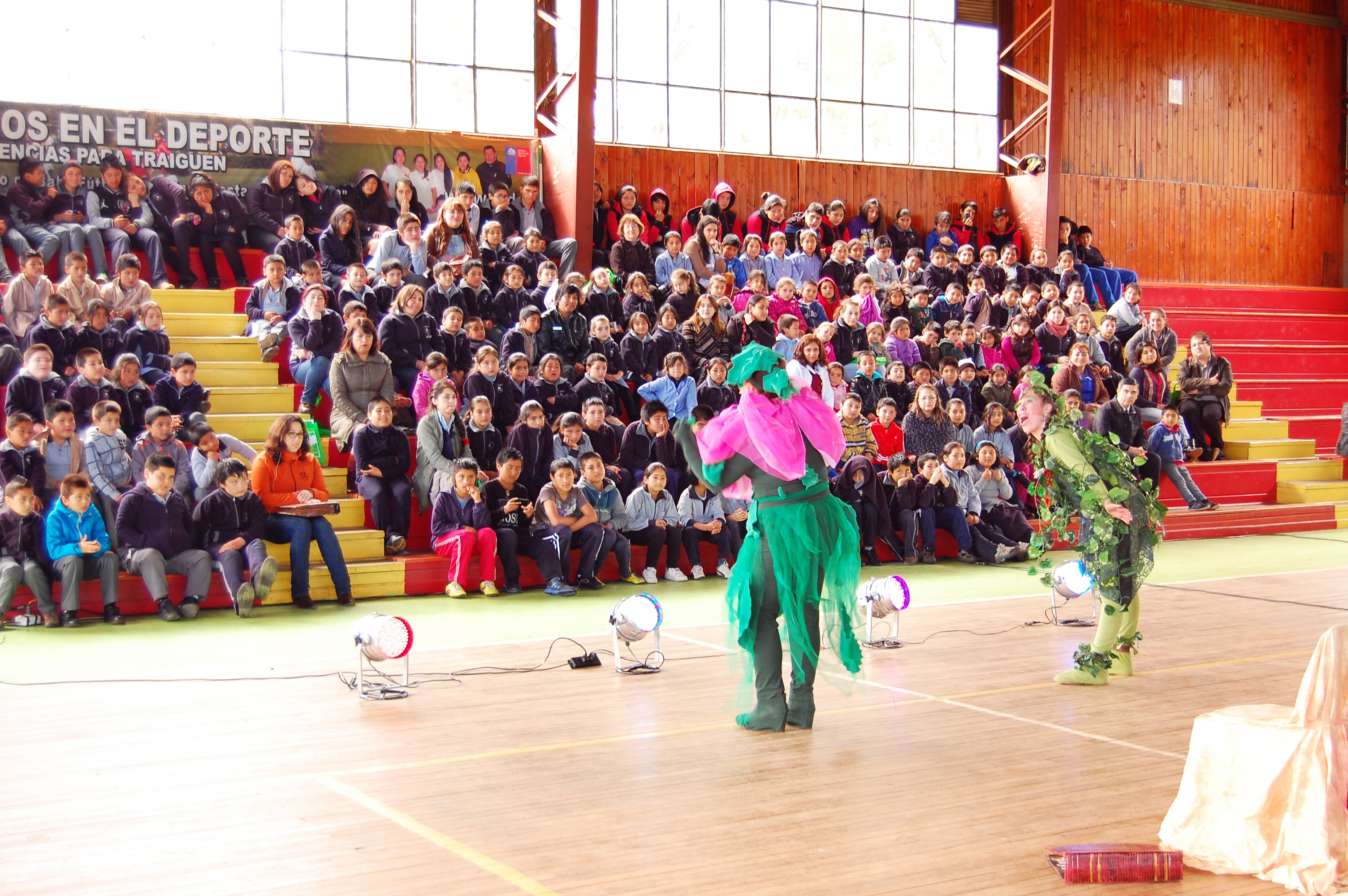 Obra de teatro sobre bullying se presentó en Traiguén