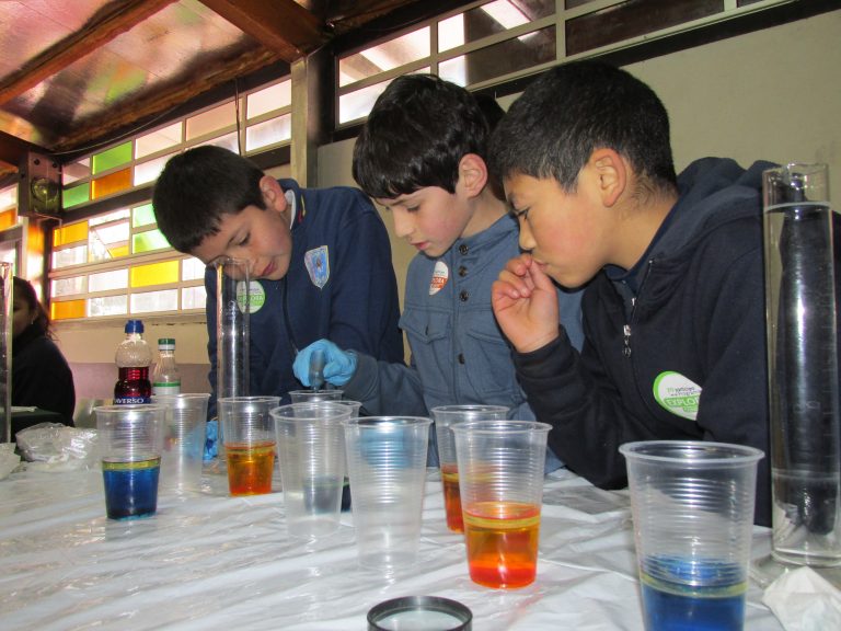 En Escuela Standard de Temuco se dio inicio a los talleres científicos TCC 2015