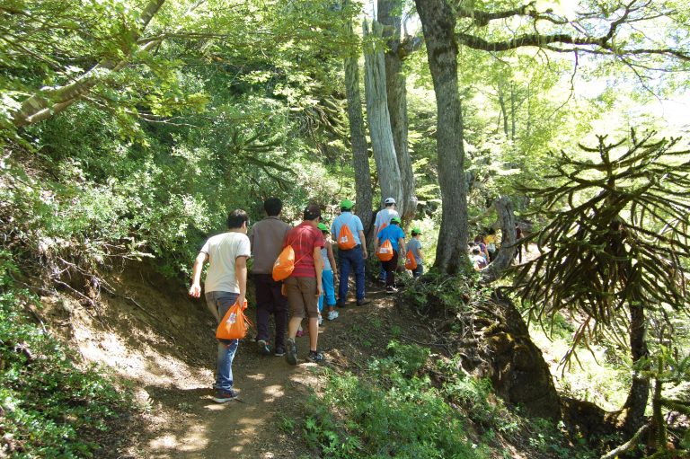 PAR EXPLORA Araucanía invita a escolares a conocer la Reserva Nacional Malalcahuello