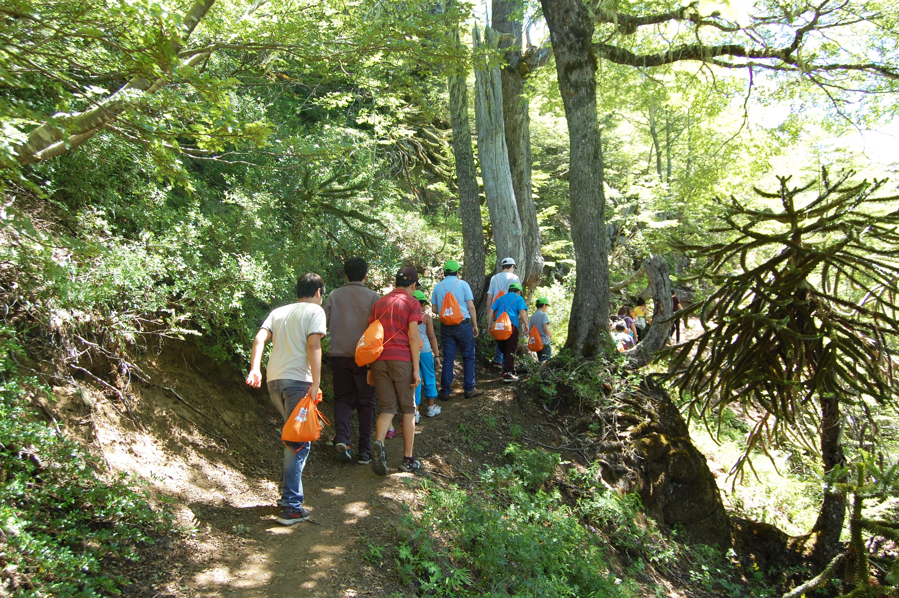 PAR EXPLORA Araucanía invita a escolares a conocer la Reserva Nacional Malalcahuello