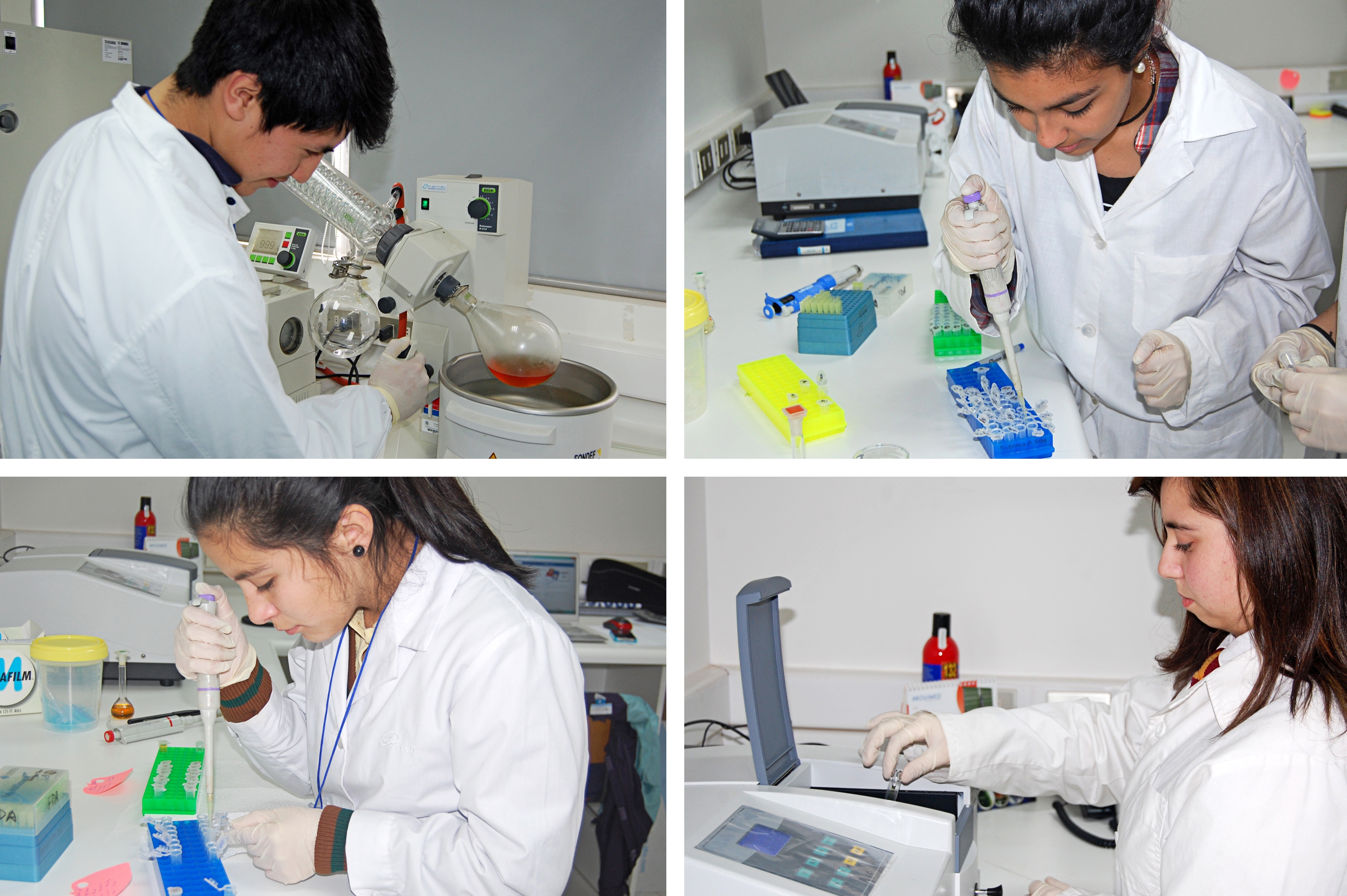 El Laboratorio de Bioquímica de Suelos de la Ufro recibe la visita de cuatro duplas de estudiantes