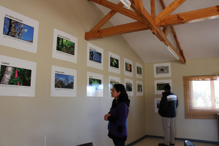 PAR EXPLORA Araucanía entrega muestra fotográfica al Parque Ecológico y Cultural Rucamanque