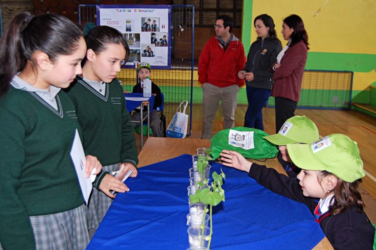 Pequeños científicos de Malleco se lucieron en la segunda versión de Feria Escolar