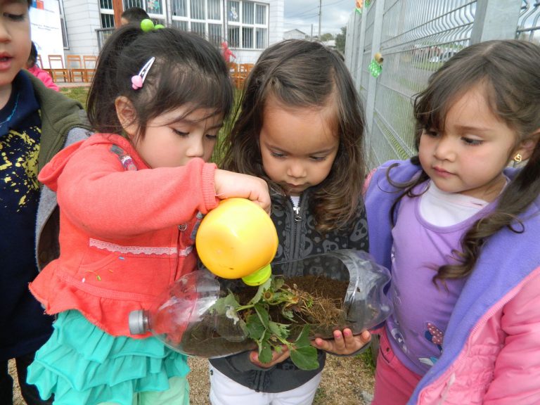 Pequeños y pequeñas de Jardín Los Folcloristas aprenden cómo sembrar plantas