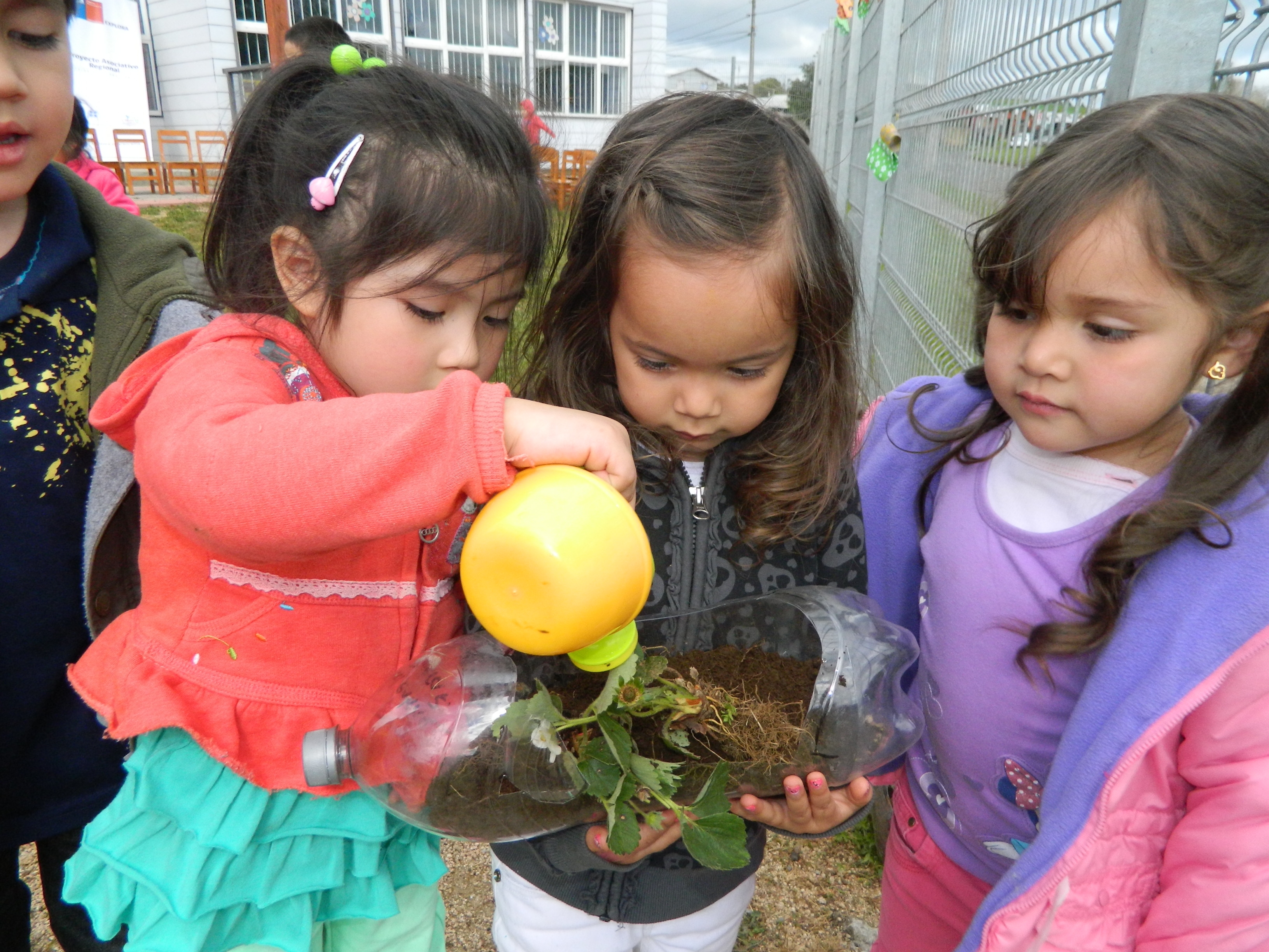 Pequeños y pequeñas de Jardín Los Folcloristas aprenden cómo sembrar plantas