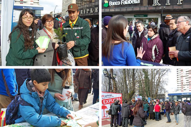 Proyecto EXPLORA CONICYT Araucanía, la UC Temuco y CONAF celebran el Día Mundial del Árbol