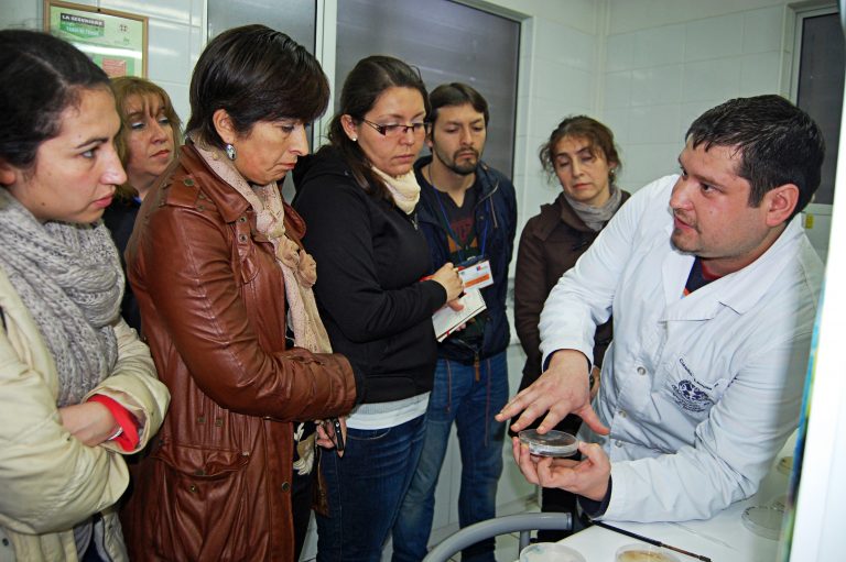 Profesores y profesoras de la región ya pueden postular al Taller de Investigación Escolar 2015