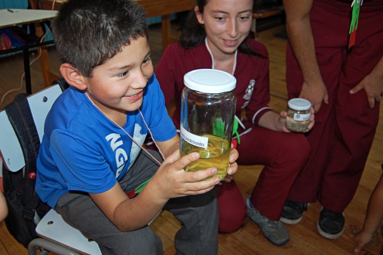 Escolares de Escuela Fundo Maquehue aprenden a prevenir la parasitosis en didácticos talleres