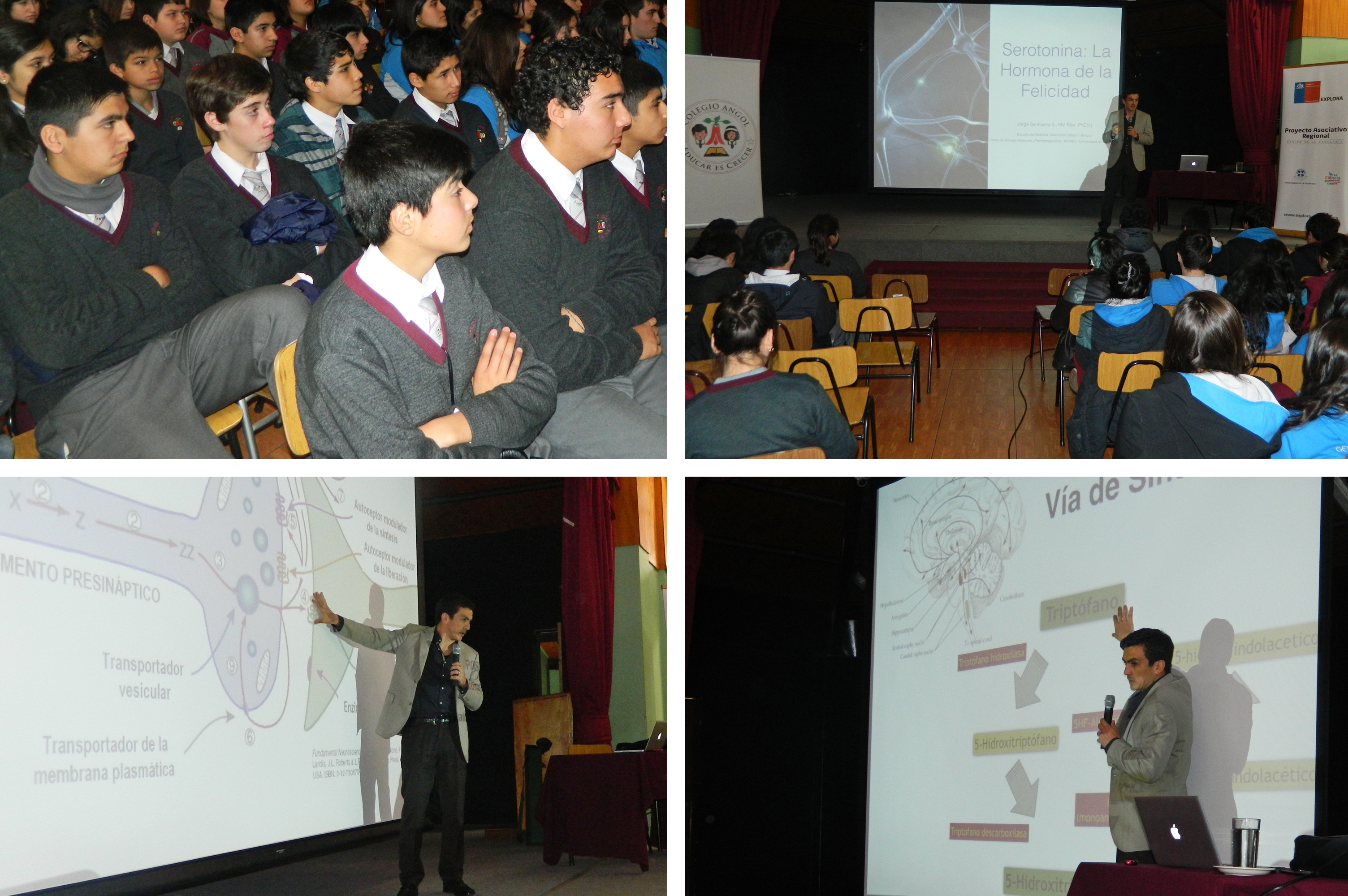 La verdad detrás de la serotonina revela académico en charla dictada en el Colegio Angol