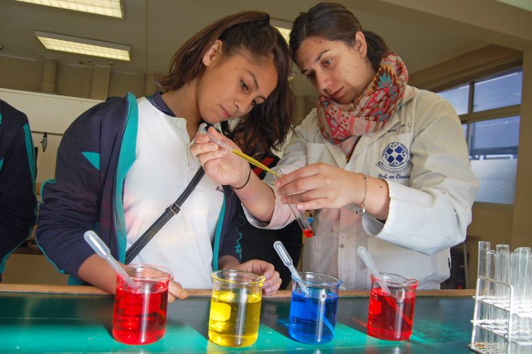PAR Explora Araucanía invita a la comunidad estudiantil a participar en “Casa Abierta”