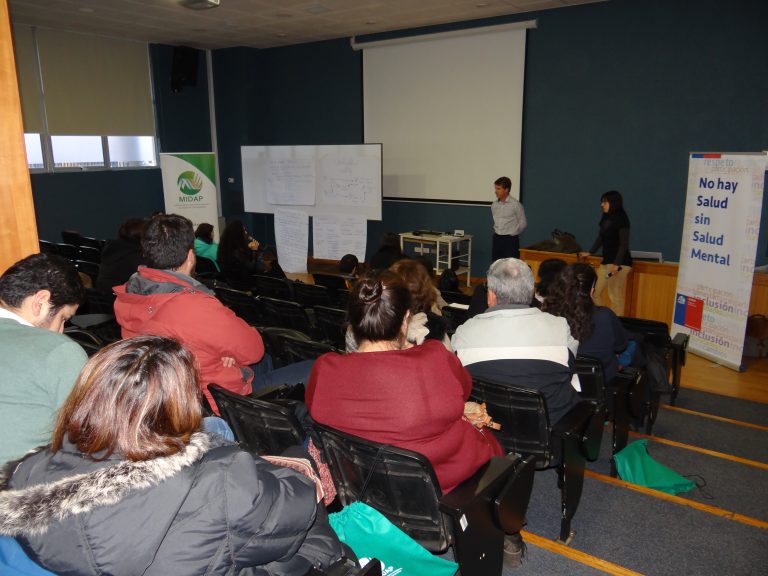 Taller sobre “Prevención del suicidio en adolescentes en el ámbito escolar” se desarrolló en Temuco