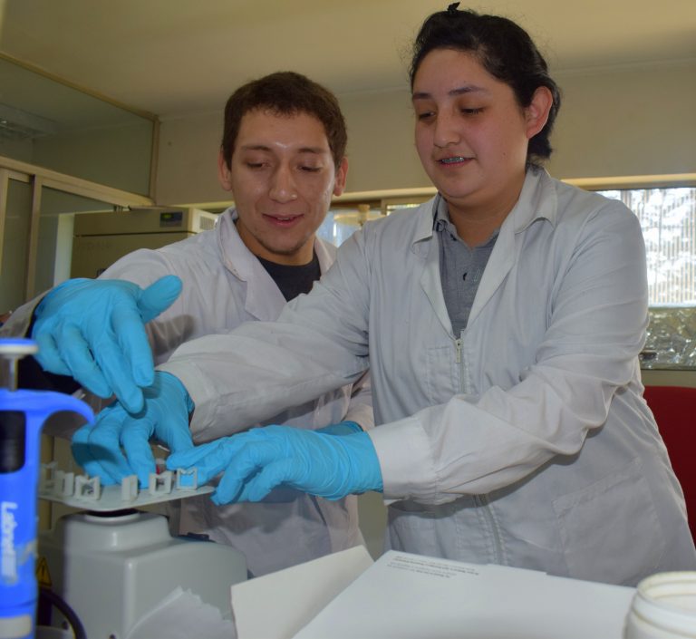 Estudiantes de Chol Chol participan en pasantía de investigación en la UFRO