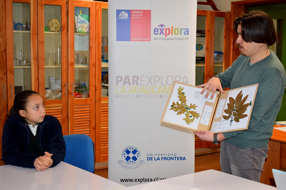 Estudiantes de educación básica aprenden sobre especies arbóreas gracias a entretenido taller