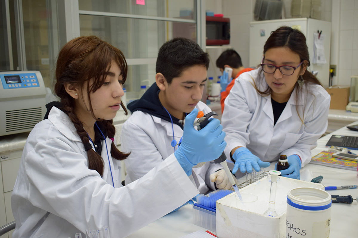 Jóvenes estudiantes de La Araucanía comienzan de manera exitosa sus Pasantías de Investigación