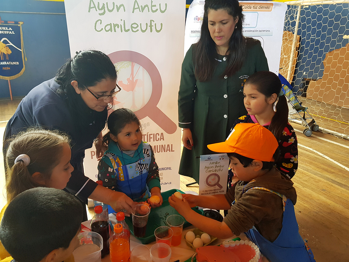 Masiva concurrencia en II Feria Científica Preescolar Comunal Pucón